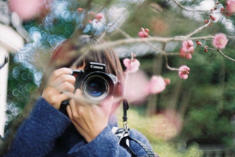 カメラ女子入門 初心者が上達するおすすめ写真講座や教材と選び方 Arinko Log