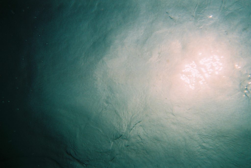 まもなく生産 販売終了 フジ業務用フィルムとfujifilm水中写ルンです Arinko Log